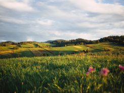 Podkarpacie na wakacje