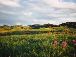 Podkarpacie na wakacje