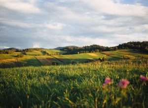 Podkarpacie na wakacje